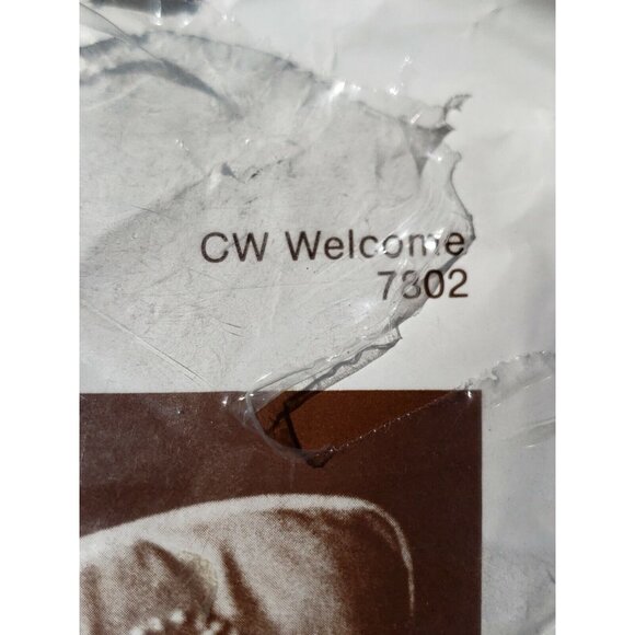 Candlewick Embroidery Kit Lot 4 Christmas Star Ornaments Pillow Pineapple Ducks - Picture 8 of 16